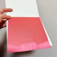 完全アンチ　粒高 イボ　卓球　ラバー　Saviga V ペン粒　カット　W２