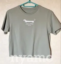 【Tシャツ】グラニフ ナガスギルイヌ レディースTシャツ Mサイズ
