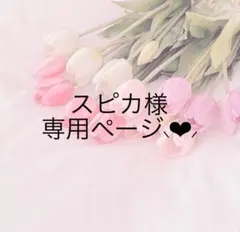 スピカ様専用 セクベア