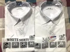 ホワイトシャツ 2枚セット Mサイズ -新品未開封、未使用