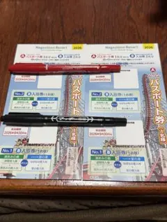ナガシマスパーランドチケット2枚のサムネイル