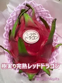 安心♪新鮮♪大玉❣️樹実り完熟レッドドラゴンフルーツ（常温）箱込み5K 安心♪新鮮♪大玉❣️樹実り完熟レッドドラゴンフルーツ（常温）箱込み