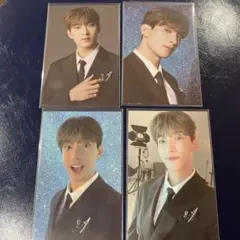 SEVENTEEN DKトレカ