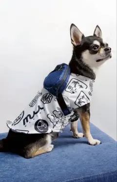 muta MARINE 犬用ウェア ポーチ付きのサムネイル