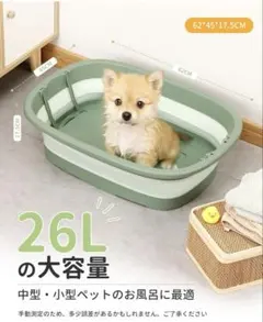 Item thumbnail for item 7da20e75-4e73-4abb-ae7a-87a9ade67b10