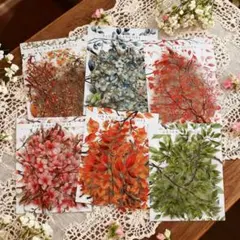 ひろにゃん様 リクエスト 3点 まとめ商品