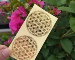 Item thumbnail for item 2012a7e2-9d65-4654-8470-4b9884452f01