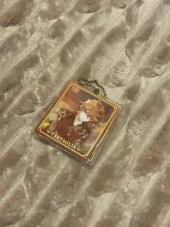 TARTAGLIA アクリルキーホルダー