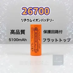 Item thumbnail for item cc610b6f-d65b-4b7f-a5bb-87fd2e36b714