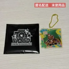 【匿名配送】SKZ TOY WORLD ランダムフォトキーホルダー アイエン