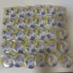 ハイキュー 月島蛍 缶バッチ ビーチボール 缶バ HQ