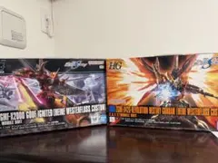 HG デスティニーガンダム(ハイネ機) & グフイグナイテッド(ハイネ機)