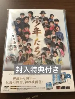 少年たちDVD