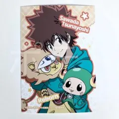 ジャンプフェスタ　ブロマイド　リボーン　沢田綱吉