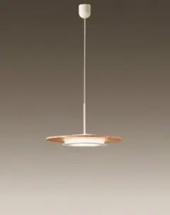 ダイコー DAIKO LEDペンダント 電球色 DXL81101