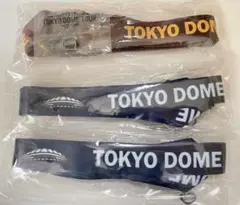 東京ドーム TOKYO DOME TOURネックストラップ 3本セット