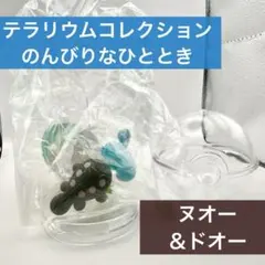 ポケモン Pokemon｜リーメント｜ヌオー｜ドオー｜パルデア｜テラリウム