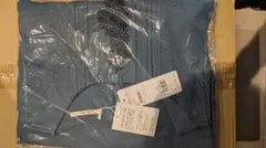 Item thumbnail for item 634ec941-8e6e-40b9-ba19-d767d329be3f