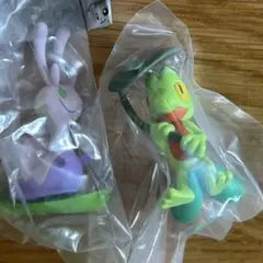 【新品未使用】ポケモンしとしとあまやどり　ヌメイルキモリ