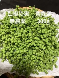 送料込み！青森県産 実山椒☆採れたて 500g+増量中 ☆値引き可 - メルカリ
