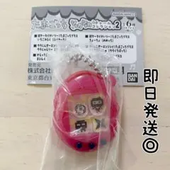 【まぴんく（ござるっち）】たまごっち シャカシャカチャームコレクション2