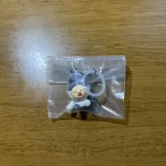 こびとづかん めじるしフレンズ2 カクレケダマ(ネコ)