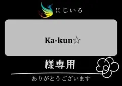 Ka-kun様専用