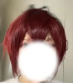 ツイステ リドル・ローズハート ウィッグ