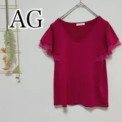 AG✨️フリル袖半袖ブラウスカットソー Vネック オフィス ワールド 大人可愛いのサムネイル
