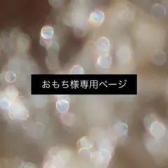〈 おもち様専用ページ 〉