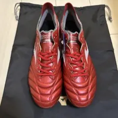 Item thumbnail for item 1a81b292-ef17-4278-908b-a9e3ecafdb91