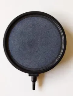 Item thumbnail for item 9326c61a-ef70-42a2-9230-023b72e8d2b0