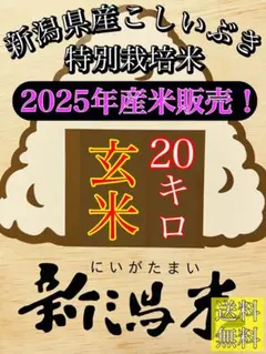 精米済み 10キロ2袋 【農家直送！】新潟県産こしいぶき 特別栽培米 7