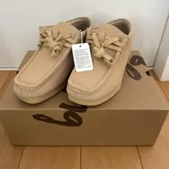 Item thumbnail for item ed98ccad-951e-42eb-8e8a-c1d46d651c08