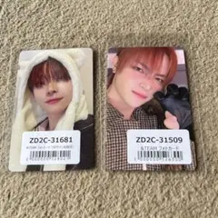 &TEAM nicholas アニマル