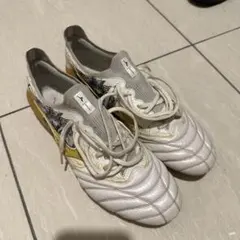 Sergio Ramos Morelia Neo 3β モレリアネオ3βのサムネイル