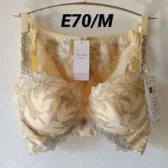 Item thumbnail for item 8bae978b-8953-43ee-b563-9eff1b76aae1