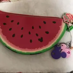 フルフルフルーツ ミニーマウス　スイカ　筆箱　ポーチ　ディズニー　ミニー　土産