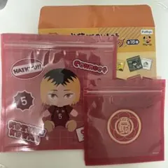 フリューくじ ハイキュー ぬいもっち 孤爪研磨