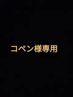 こちらはコペン様専用ページです。