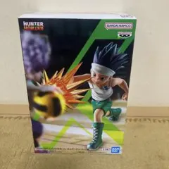 HUNTER×HUNTER フィギュア-ゴン-G.I.編