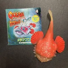 クツアンコウ　ブックレット オーシャンアタック　&co デアゴスティーニ