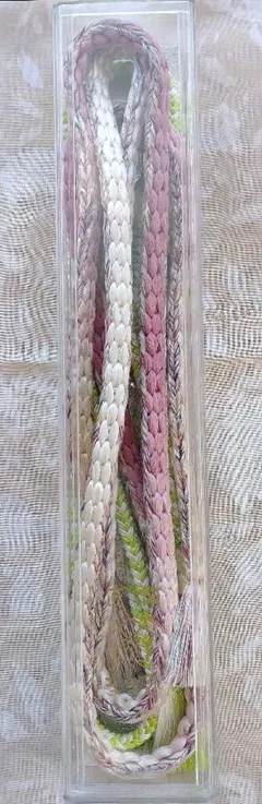 Item thumbnail for item ee56030e-b9a4-4d4a-ba98-47753c1660eb