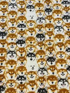 50×70 ワンワン　犬柄　生地　はぎれ　しば犬