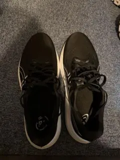 ランニングシューズ アシックスGT-2000 14 27.5cm 4E