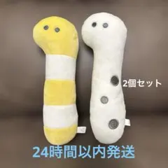 つぶらな瞳シリーズ つぶらな瞳の水族館 2個セット　チンアナゴ