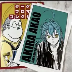 サカモトデイズ SAKAMOTODAYS ターゲットブロマイド 赤尾晶