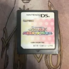ワンタメバラエティチャンネル　DS ソフト