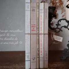 B370 フランス語 洋書 古びた風合いが素敵 ディスプレイ インテリア 蚤の市