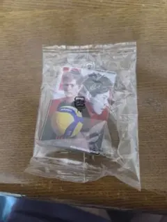 髙橋藍 アクリルコレクション デザインM